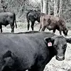 mikeuhl806 - @mikeuhl806 - TikTok