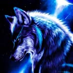 Mike VanDehey - @vandehey_mike - Instagram