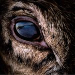 Mike Van Den Berg - @mike.van.den.berg - Instagram