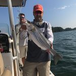 Mike Vanek - @mikevbassfishing - Instagram
