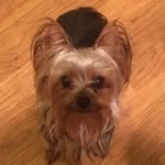 Mike Varnell - @vanell7 - Instagram