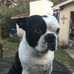 Mike Veillon - Facebook