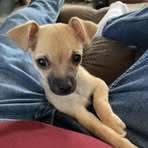 Mike Feller - Facebook