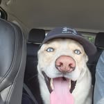 Mike Veller - @cha0sb3ast - Instagram