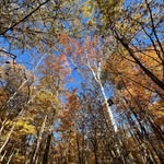 Mike - @mikevenablephotography - Instagram