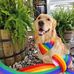 Mike Venable - Facebook