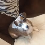 Mike Venable - @venable9219 - Instagram