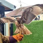 Mike Venn - @mikevenn1 - Instagram