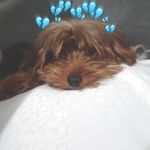 ʍɪҡɛ vɛɴ†ʋʀą🐾 - @mike__ventura_ - Instagram
