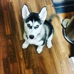mike_ventura - @mike_ventura - Instagram