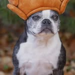 @mike_venturi2007 - Instagram