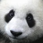 Mike Vera - @pandapajamaparty - Instagram