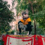 Mike Verdugo 🐾🐺 - @crimson_tear - Instagram