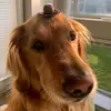 mikev957 - @mikeverlander957 - TikTok