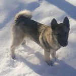 Mike Verrill - @verrillmike - Instagram