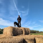Michael Vesely - @mikevesely1981 - Instagram