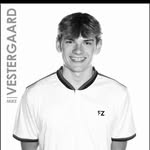 Mike Vestergaard - @mike_vestergaard - Instagram