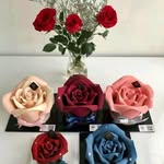 Mike Victor - @mikevictor2587 - Instagram