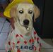 Michael Vienne - Facebook