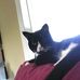 Mike Vinson - Facebook