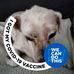 Mike Voyles - Facebook