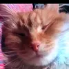 Mike wachowski - @mike.wachowskii - TikTok