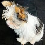 Mike Wacker - @mike.wacker.585 - Instagram
