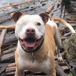 Mike Wakefield - @mikewakefieldphotography - Instagram