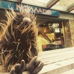 Mike Wakefield - @kiwikevinsblog - Instagram