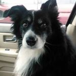 Mike Wakefield - @wakefield_mike - Instagram