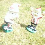 Mike Wallman - @beesstingisthething - Instagram
