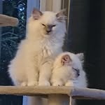 Mike Warman - @mike.warman.1232 - Instagram