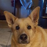 Mike Warman - @warman_mike - Instagram