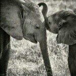 Mike Wasserman - @wassermanmike - Instagram