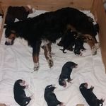 Mike Wassermann - @mike.wassermann2 - Instagram