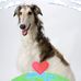 Mikey Waterman - Facebook