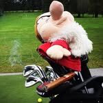 Mike Weaver - @weavesinpdx - Instagram