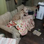 Mike Weaver - Facebook