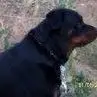 Mike Weaver - @mikeweaver81 - TikTok