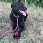 Mike Weigel - @m.p.weigek - Instagram