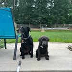 Mike Werlinger - @mike_werlinger7339 - Instagram