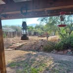 Mike Werth - Facebook