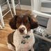 Michael Westbrook - Facebook