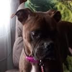 Mike Westbrook - @mjwest52 - Instagram