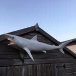 Mike Westbrook - @michaelhwestbrook - Instagram