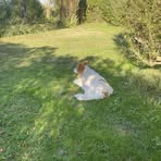 Mike Wheatley - Facebook