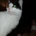 Mike Whitfield - Facebook