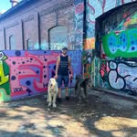 Mike Whitfield - @mikedavid1962 - Instagram