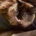 Michael Whiting Sr. - Facebook