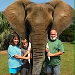 Mike Whitton - Facebook